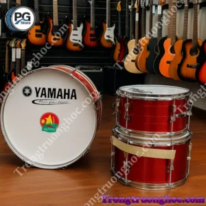 Mua trống đội tại TPHCM