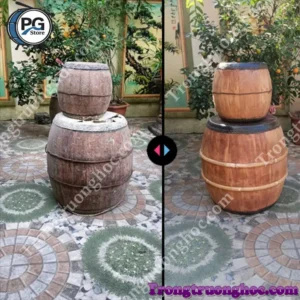 Nhận sửa chữa trống trường học