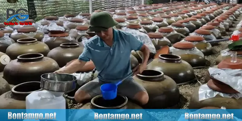 Ưu điểm khi ủ rượu bằng cách hạ thổ