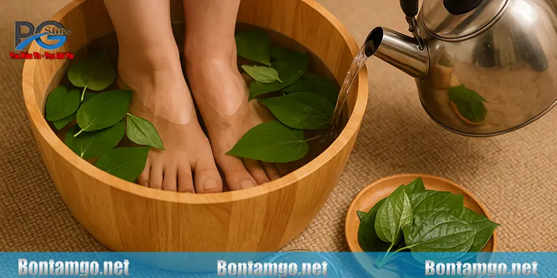 Hướng dẫn ngâm lá lốt hiệu quả